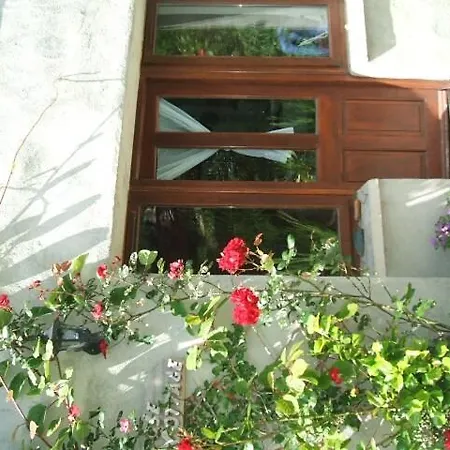 Tranquil Cosy דירה *